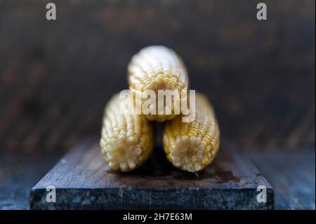 Bollito sulla pannocchia di mais Foto Stock