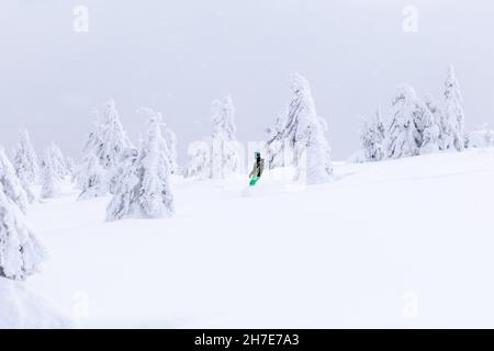 Gli snowboarder e gli sciatori attraversano la foresta selvaggia in una bella giornata invernale fredda. Paesaggio di alte montagne con neve e albero. Sfondo backgrou Foto Stock