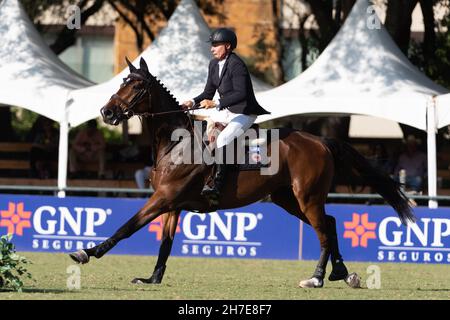 Monterrey Mexico sede equestre per la Major League Show Jumping Event Mario Deslauriers Foto Stock