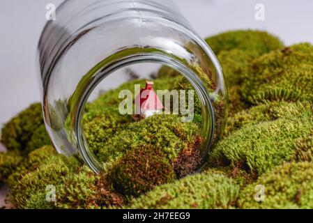 Scena giardino nel terrario in bottiglia trasparente con un giocattolo e  muschio. Concetto di ecosistema Foto stock - Alamy