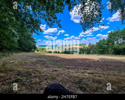 Wald Spaziergang Sonne, Wasser, Windrad Foto Stock