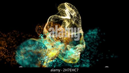 Immagine di nuvole di particelle bianche, blu e arancioni che si muovono su sfondo nero Foto Stock