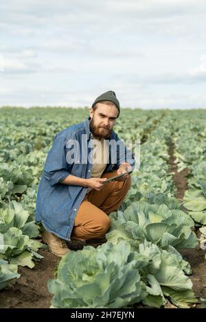 Ritratto di contenuto bello giovane barbuto operaio agricolo in cappello accovacciato a cavolo e utilizzando tavoletta Foto Stock