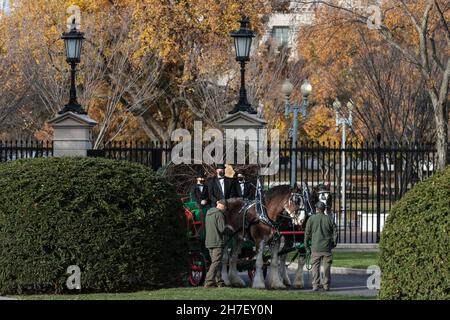 Washington, Stati Uniti. 22 novembre 2021. L'albero di Natale ufficiale della Casa Bianca è portato sul terreno del palazzo esecutivo su un carro trainato da cavalli alla Casa Bianca il 22 novembre 2021 a Washington, DC. (Foto di Oliver Contreras/SIPA USA) Credit: Sipa USA/Alamy Live News Foto Stock