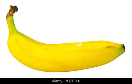 Vista laterale di una Banana gialla organica matura isolata Foto Stock