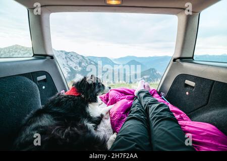 Vista dal tronco di un'auto allo splendido paesaggio austriaco con le collie di bordo bianco e nero e le gambe delle ragazze Foto Stock