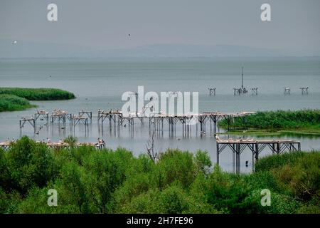 Bandirma uccello cielo (kus ceneti) e molti pellicani e tipo di uccelli sulla loro fauna sul lago e laghetto con piccolo porto per lo sbarco di uccelli. Foto Stock