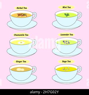 un set di diversi tipi di tè in tazze Illustrazione Vettoriale