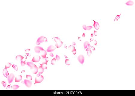 Petali di fiori sakura realistici. Caduta bella rosa sakura petali su sfondo bianco. Modello vettoriale con petali giapponesi in fiore di ciliegia primaverile per Illustrazione Vettoriale