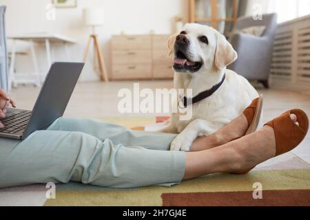 Ritratto di cane sdraiato sul pavimento e in attesa di donna utilizzando il portatile, spazio copia Foto Stock