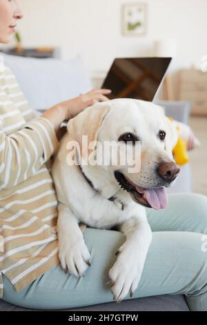 Ritratto verticale di grande mentre il cane si trova in grembo di giovane donna che lavora da casa e utilizzando il computer portatile Foto Stock