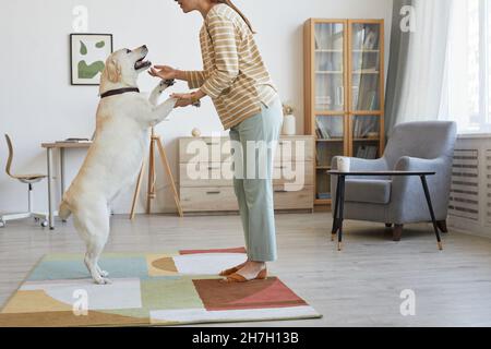 Ritratto minimale della giovane donna che gioca con il cane grande in casa accogliente interno, spazio copia Foto Stock