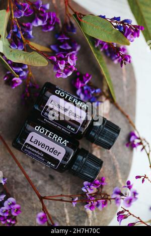 PYRAMID HILL, AUSTRALIA - 10 agosto 2021: Immagine editoriale illustrativa degli oli essenziali di Doterra Foto Stock