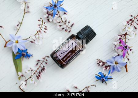 PYRAMID HILL, AUSTRALIA - 10 agosto 2021: Immagine editoriale illustrativa dell'olio essenziale di Doterra Foto Stock