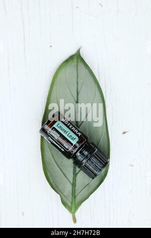 PYRAMID HILL, AUSTRALIA - 10 agosto 2021: Immagine editoriale illustrativa di Doterra Essential o Foto Stock