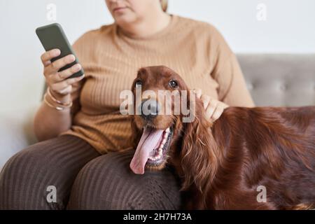 Ritratto di cane felice sdraiato in grembo womans e guardando la macchina fotografica, spazio copia Foto Stock