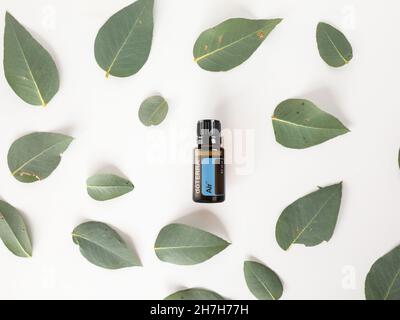 PYRAMID HILL, AUSTRALIA - 10 agosto 2021: Immagine editoriale illustrativa dell'olio essenziale di Doterra Foto Stock