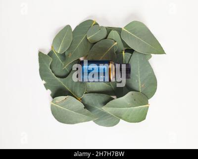 PYRAMID HILL, AUSTRALIA - 10 agosto 2021: Immagine editoriale illustrativa degli oli essenziali di Doterra Foto Stock