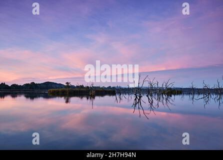 Una iridescente striscia rosa attraverso il cielo all'alba, Lily Creek Lagoon, Kununurra, Australia Occidentale, Australia. Foto Stock