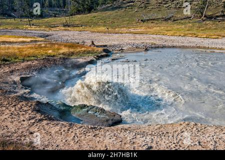 Acqua calda che ruggisce a Churning Caldron, sorgenti termali nella zona termale di Mud Volcano del Parco Nazionale di Yellowstone, Wyoming, USA Foto Stock