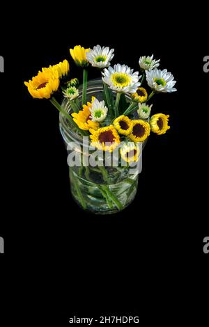 fiori in vaso su sfondo nero, Foto Stock