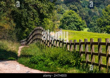 Un sentiero naturale lungo una recinzione in legno conduce tra pascoli e una foresta Foto Stock