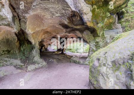 Ingresso alla vecchia cava nel Huel Lee o Hohllay formazione rocciosa, pietra cava, modelli circolari sul soffitto della grotta, alberi verdi nel backgrou Foto Stock