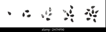 numero dispari di semi neri, noti anche come cumino nero o cumino o kalonji, isolati su sfondo bianco, raccolta closeup, macro Foto Stock