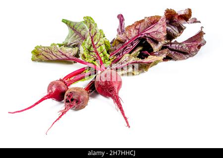 Mini ravanello rosso appena raccolto su sfondo bianco Foto Stock