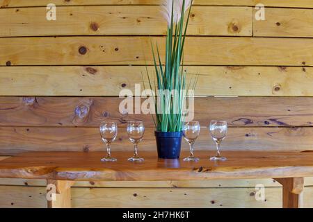 Quattro bicchieri di vetro vuoti sul tavolo e sfondo di legno con una pianta al centro, in attesa di una degustazione di vino in una cantina in argentina. Orizzontale Foto Stock