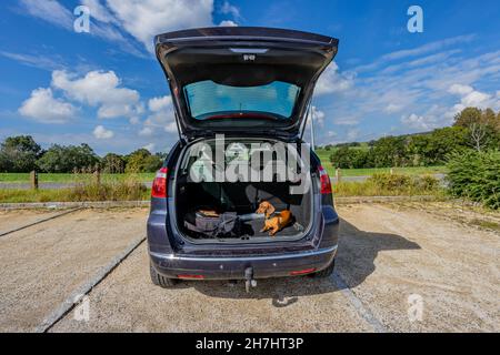 Auto grigia parcheggiata in un parcheggio pubblico su un gazebo, porta posteriore aperta, zaini neri e un dachshund marrone a capelli corti adagiato tranquillamente al sole al coperto, Foto Stock