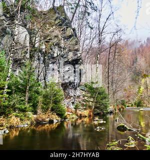Roccia ragzita per arrampicatori sulla riva del fiume Oker nella valle dell'Oker, circondata da boschi con abeti Foto Stock