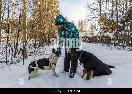 Una donna in inverno per dare da mangiare a due cani per strada. Foto Stock