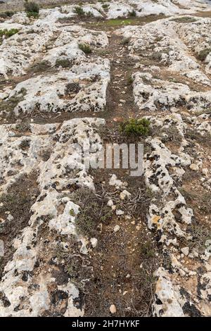 I misteriosi Cart Ruts scolpiti nella roccia a Clapham Junction a Malta, in Europa Foto Stock