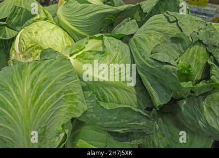 Capi di cavolo in vendita in un negozio di alimentari in N. Central Florida. Foto Stock