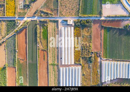 Vista aerea dei vari campi di colture e piante di serre Foto Stock