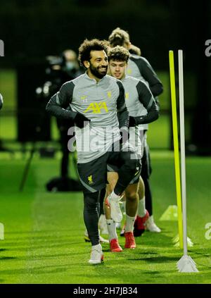 Kirkby, Liverpool, Inghilterra; 23 novembre 2021; Centro di formazione Axa, Kirkby, Liverpool, Inghilterra; il treno del Liverpool FC in vista della loro partita di calcio Champions League contro il FC Porto il 24 novembre: Mohamed Salah di Liverpool Credit: Action Plus Sports Images/Alamy Live News Foto Stock