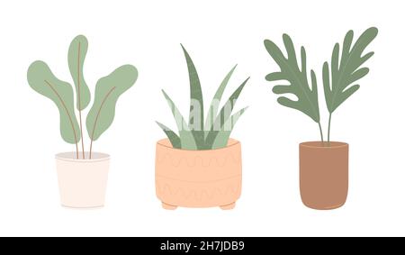 Set di moderne piante in vaso per la casa e l'ufficio decorazione interna.colorato piano vettoriale illustrazione isolato su sfondo bianco Illustrazione Vettoriale