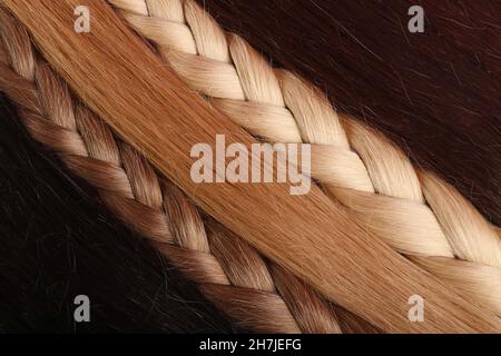 Sfondo da capelli per estensione, tipi e colori defferent. Foto Stock