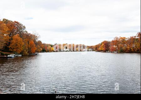 Colori autunnali al lago Anne a Reston Foto Stock