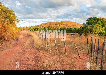 Casa in campagna, caatinga paesaggio in autunno (inizio della stagione secca) - Oeiras, Piaui stato, Brasile Foto Stock
