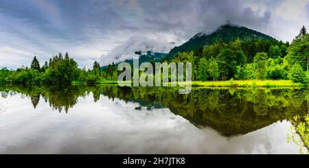 Riflessione dell'acqua nel laghetto delle brughiere, nei pressi di Oberstdorf, Oberallgäu, Allgäu, Baviera, Germania Foto Stock