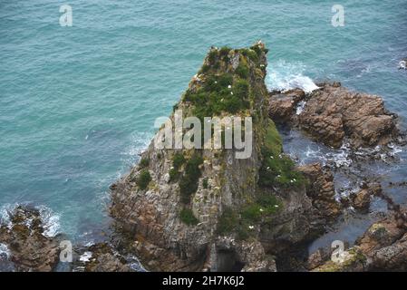 Una vista aerea di un massiccio catasta di mare completa di greti nidificanti e uccelli di riva. Fotografato a Nugget Point sull'isola meridionale della Nuova Zelanda. Foto Stock