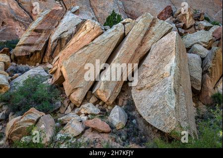 Enormi rocce cadute al Capitol Reef National Park, Utah. Foto Stock