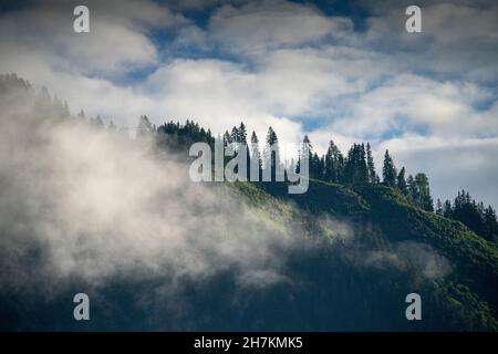 Paesaggio montano con alberi nella nebbia mattutina, Döbriach, Carinzia; Austria, Europa. Foto Stock