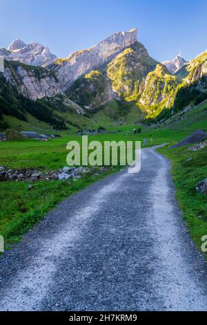 Strada sterrata vuota che si estende attraverso la valle nella gamma Alpstein all'alba Foto Stock
