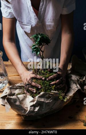 Giovane donna piantando bonsai albero Foto Stock