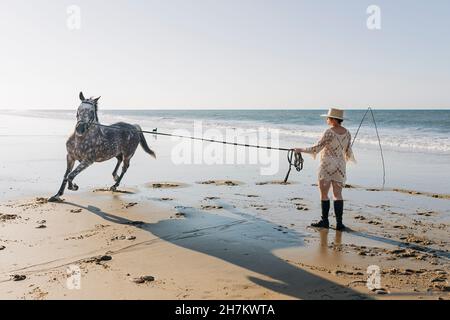 Cavallo che corre intorno a donna incinta con frusta in spiaggia Foto Stock