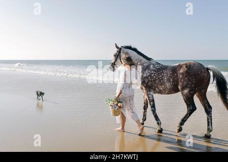 Donna incinta che cammina con cestino a cavallo in spiaggia Foto Stock