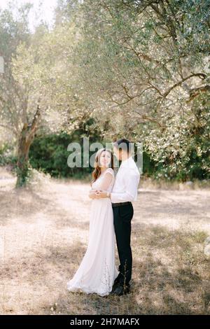 Lo sposo abbraccia la sposa da dietro mentre si trova in piedi nell'oliveto Foto Stock